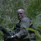 Predator duck hunt